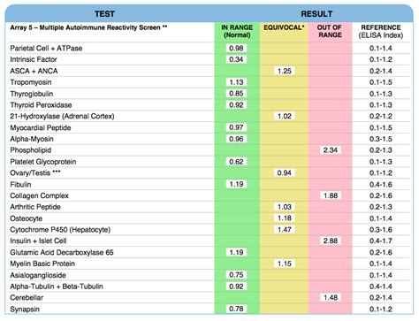 complete autoimmune panel tests